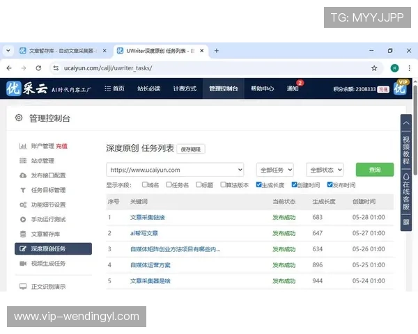 问鼎网站链接的优化策略与SEO提升技巧全面解析